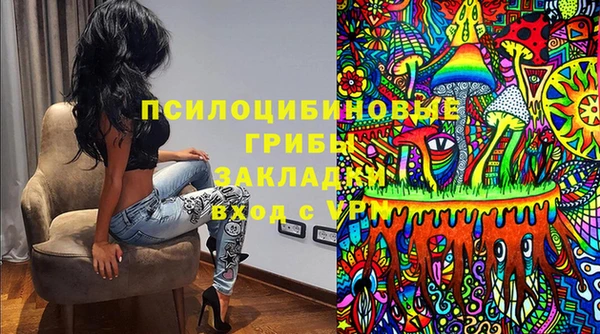 прущие грибы Покачи