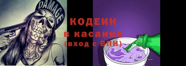 прущие грибы Покачи