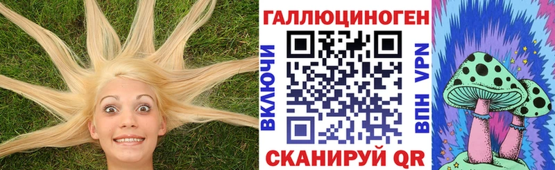 Галлюциногенные грибы Psilocybine cubensis  хочу наркоту  Любим 